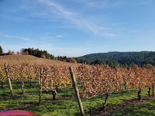 Winery «Kramer Vineyards», reviews and photos, 26830 NW Olson Rd, Gaston, OR 97119, USA