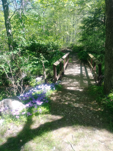 Gift Shop «Stonehedge Gardens», reviews and photos, 51 Dairy Rd, Tamaqua, PA 18252, USA