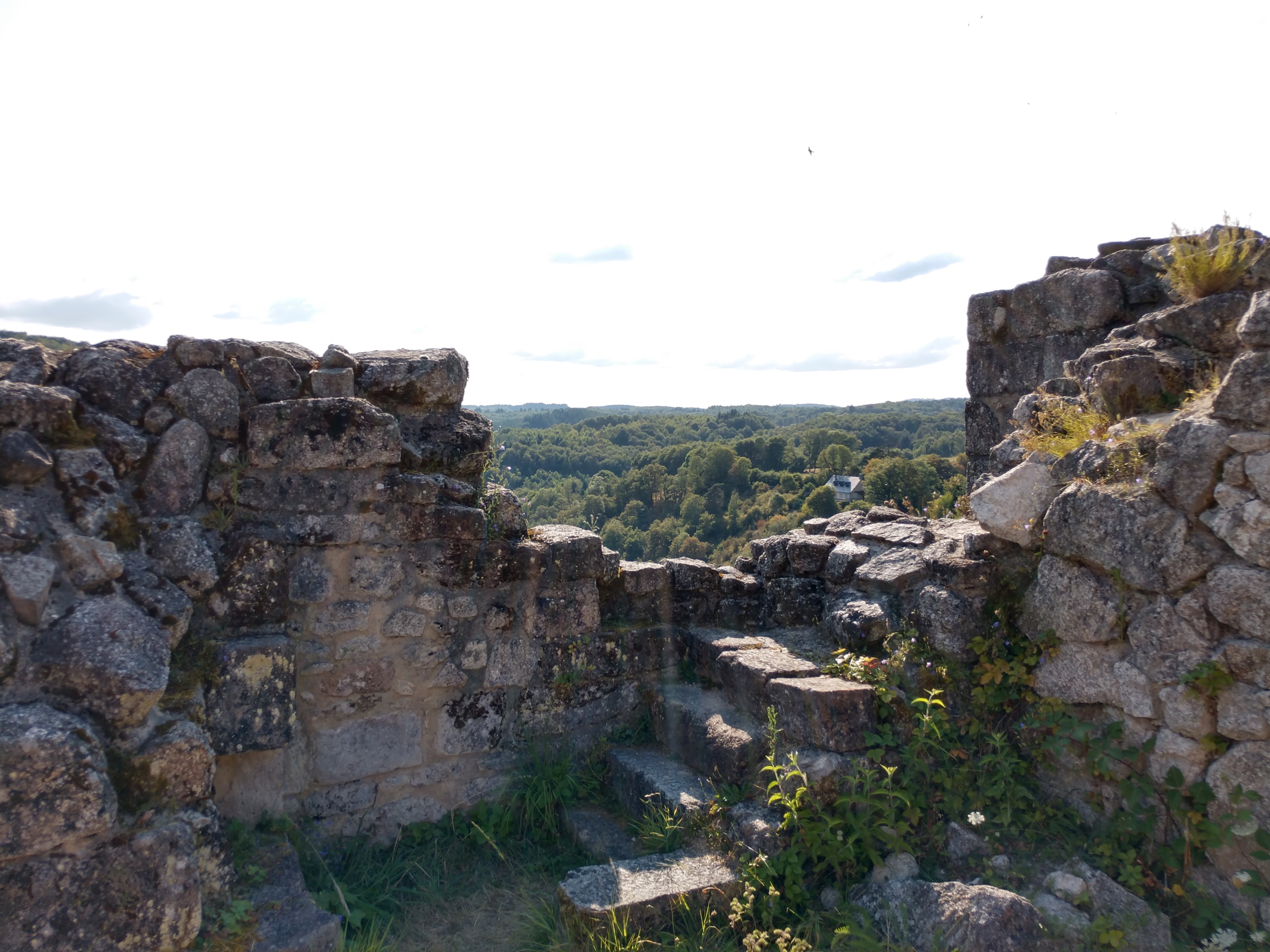 Photo n° 20 de l'avis de Patrick.e fait le 01/08/2018 à 19:37