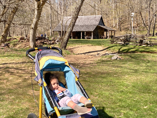 National Forest «Land Between the Lakes National Recreation Area», reviews and photos, 238 Visitor Center Dr, Golden Pond, KY 42211, USA