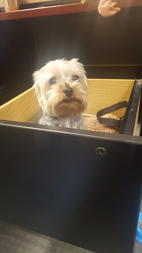 Moving and Storage Service «Worldwide Moving Systems», reviews and photos, 3410 Rockefeller Ct, Waldorf, MD 20602, USA