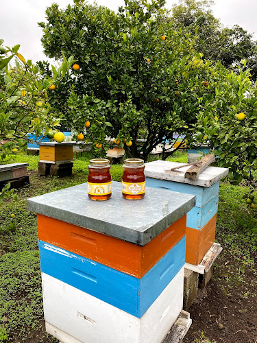 Miel de abeja "Sweet Swarm" - Quito