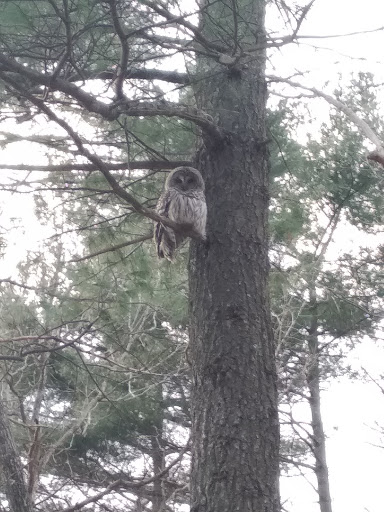 State Park «Breakheart Reservation», reviews and photos, 177 Forest St, Saugus, MA 01906, USA