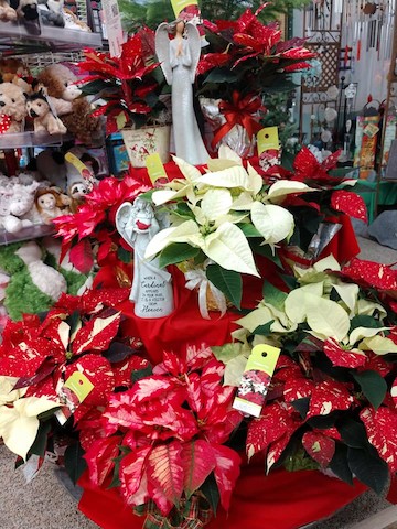 Florist «First Class Flowers», reviews and photos, 1120 Central Ave, Nebraska City, NE 68410, USA