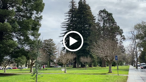 Park «Washington Park», reviews and photos, 850 Burlingame Ave, Burlingame, CA 94010, USA