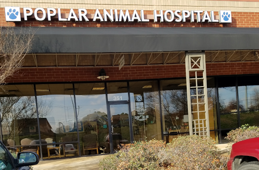 Poplar Animal Hospital