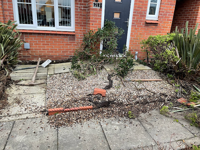 Comments and reviews of Manchester trees and landscapes ltd