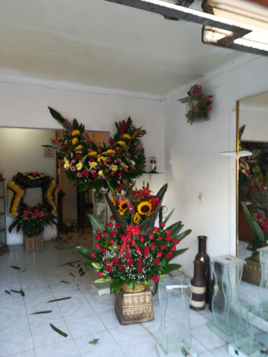 Florería Ana – Tenancingo