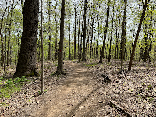 Percy Warner Ridgeline Trail