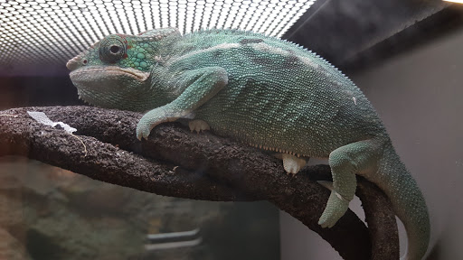 Pet Supply Store «Petco Animal Supplies», reviews and photos, 3680 Spencer Hwy, Pasadena, TX 77504, USA