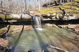 Paddy Creek Wilderness and big piney trail image