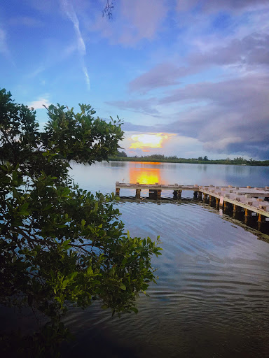 Coffee Shop «Starbucks», reviews and photos, 3604 84th Ave Cir E, Sarasota, FL 34243, USA