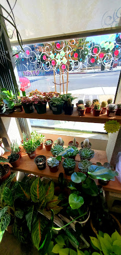 Toy Store «Zonkey», reviews and photos, 161 Jackson St, San Jose, CA 95112, USA