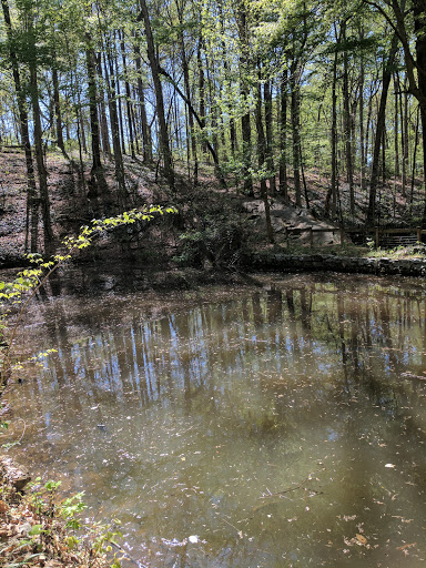 Nature Preserve «Fernbank Forest», reviews and photos, 767 Clifton Rd, Atlanta, GA 30307, USA