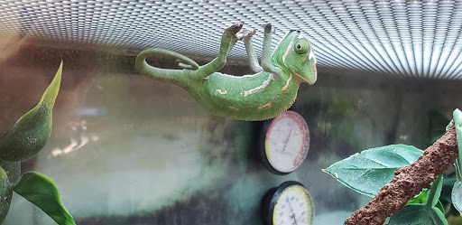 Pet Supply Store «Petco Animal Supplies», reviews and photos, 2210 N Eagle Rd, Meridian, ID 83646, USA