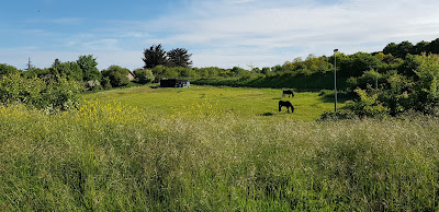 Cesson Bourg à Saint-Brieuc