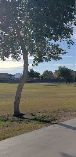 Park «Centennial Park», reviews and photos, 2475 E Markwood Dr, Chandler, AZ 85286, USA