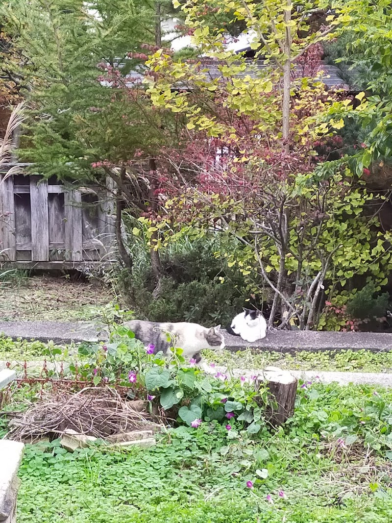 緑が丘西公園