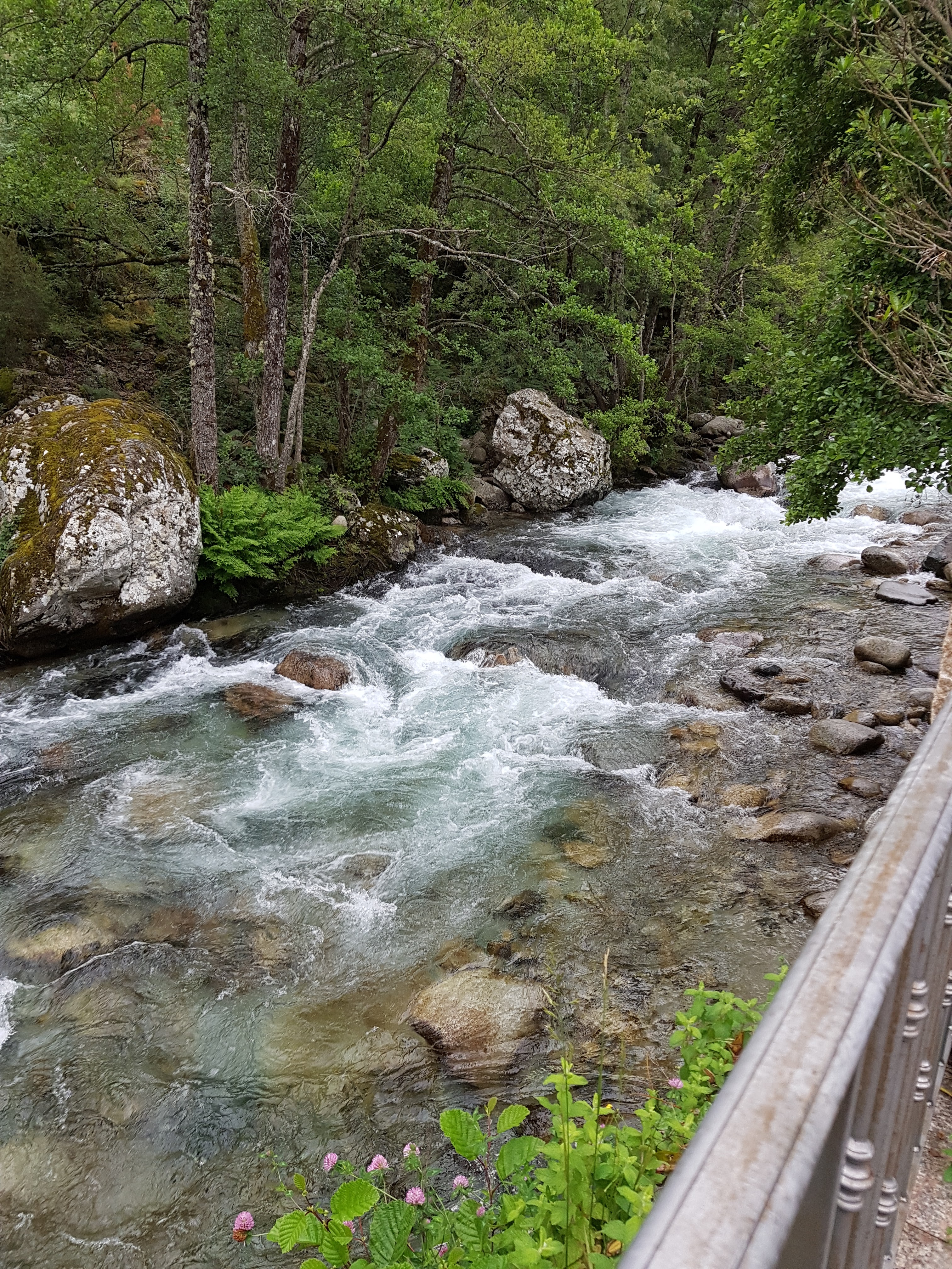 Photo n° 2 de l'avis de Gerdi.e fait le 10/06/2018 à 09:34