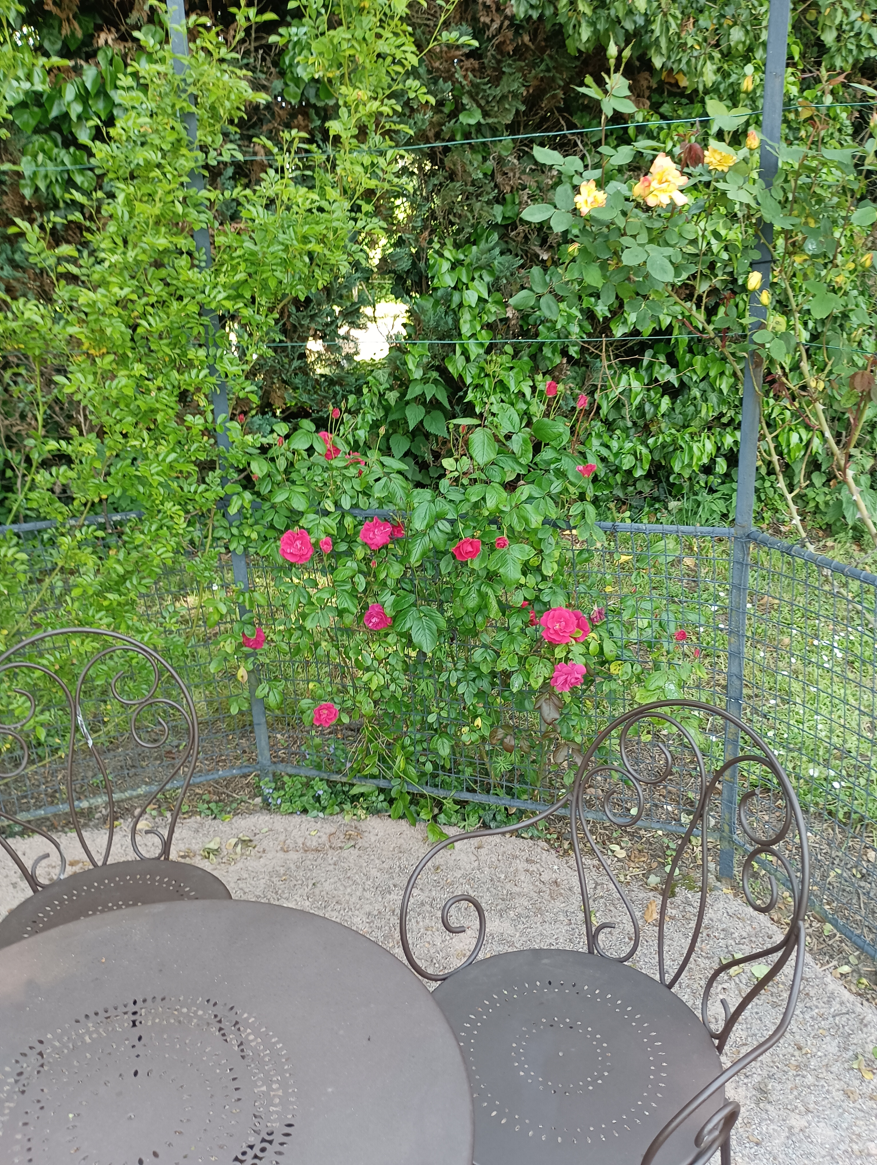 Photo n° 17 de l'avis de Laurie.. fait le 01/06/2023 à 19:15