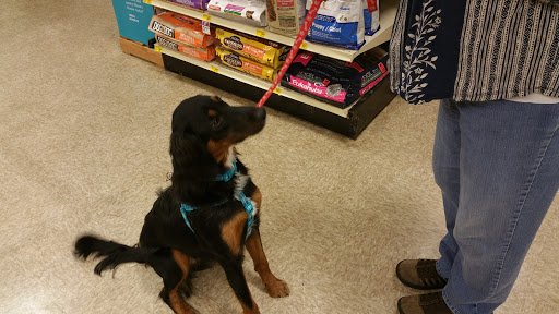 Pet Supply Store «PetSmart», reviews and photos, 1112 Town Square Rd, Pottstown, PA 19465, USA
