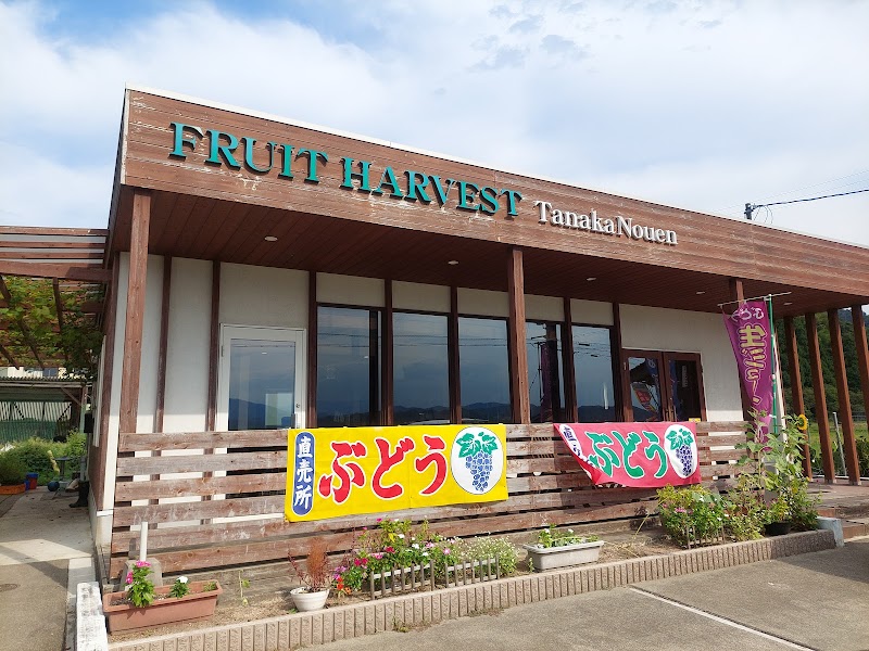 FRUIT HARVEST 田中農園