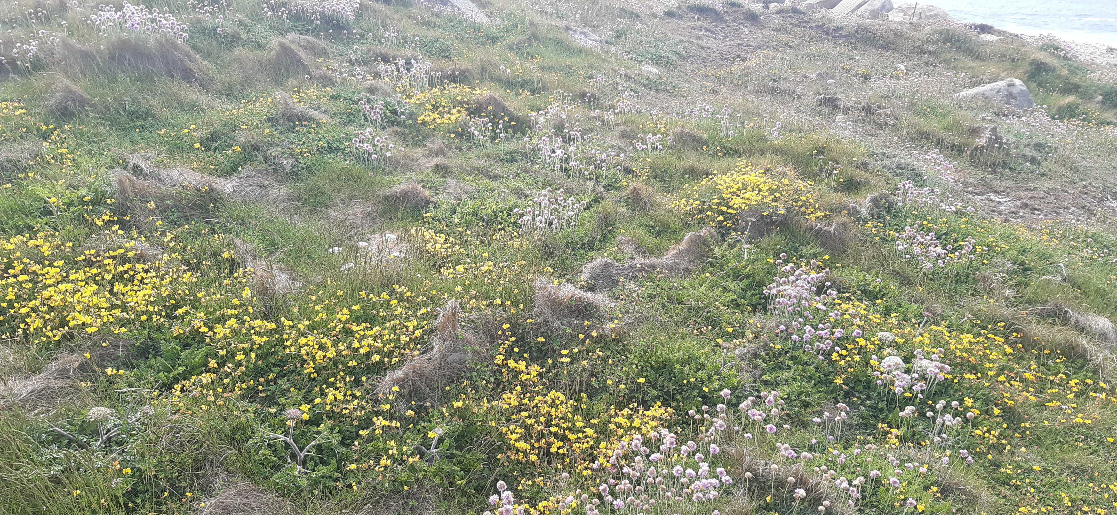 Photo n° 9 de l'avis de Régine.e fait le 27/05/2022 à 04:56