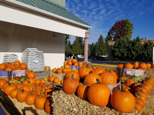 Shopping Mall «Bridle Trails Shopping Center», reviews and photos, 6501-6625 132nd Ave NE, Kirkland, WA 98033, USA