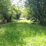 Photo n° 4 de l'avis de Youcef.h fait le 24/06/2019 à 12:32 pour Aire de La Forêt à Bligny-sur-Ouche