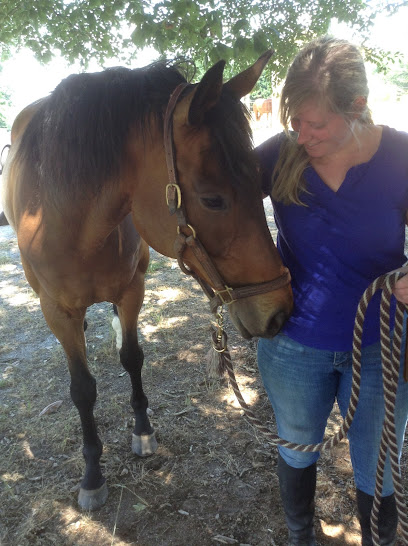 Family Alliance Equine Assisted Therapeutic Program