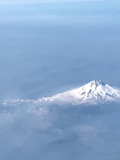 Insurance Agency «Path Insurance Solutions», reviews and photos