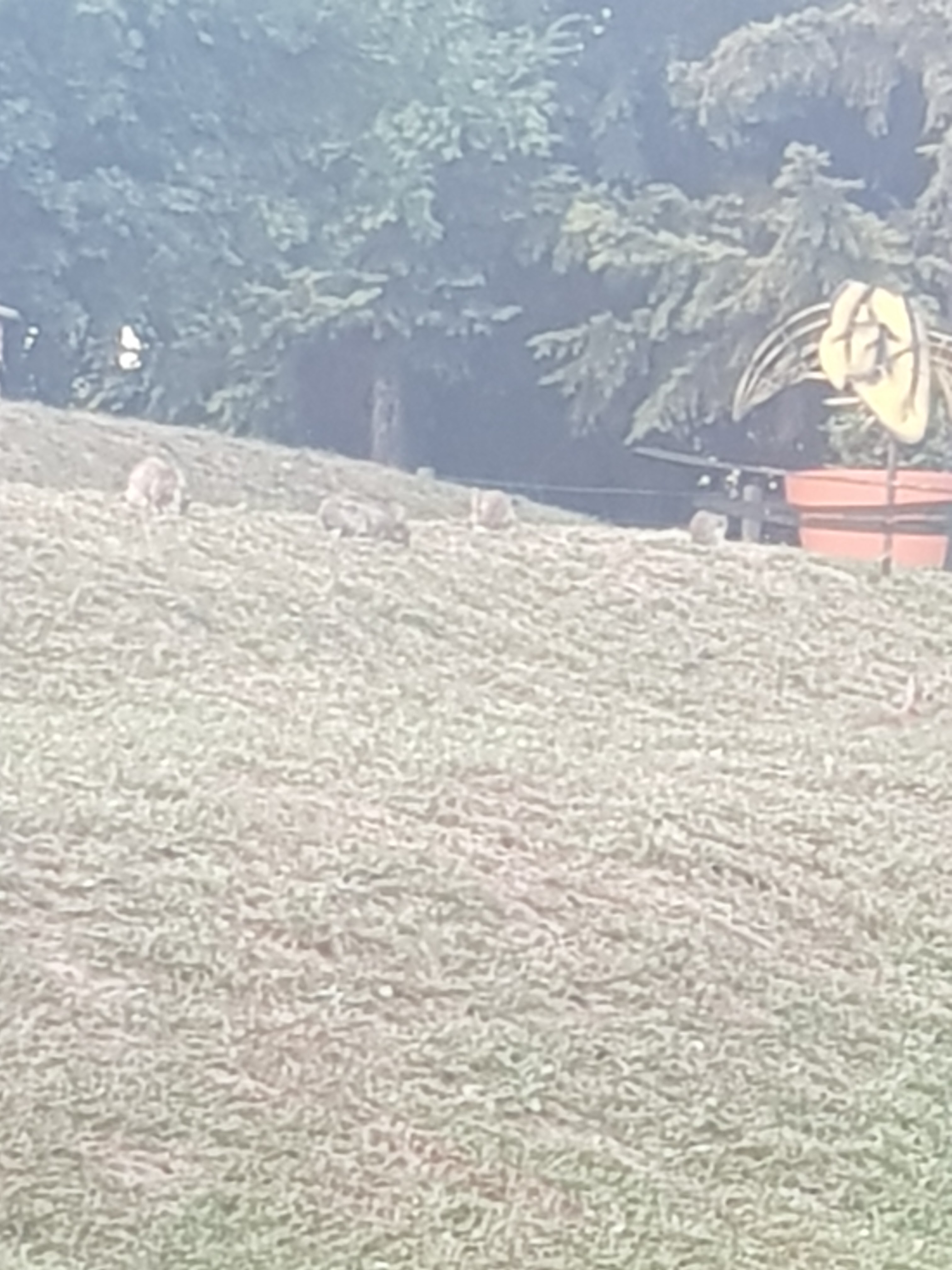 Photo n° 3 de l'avis de Samya.a fait le 10/08/2019 à 14:49