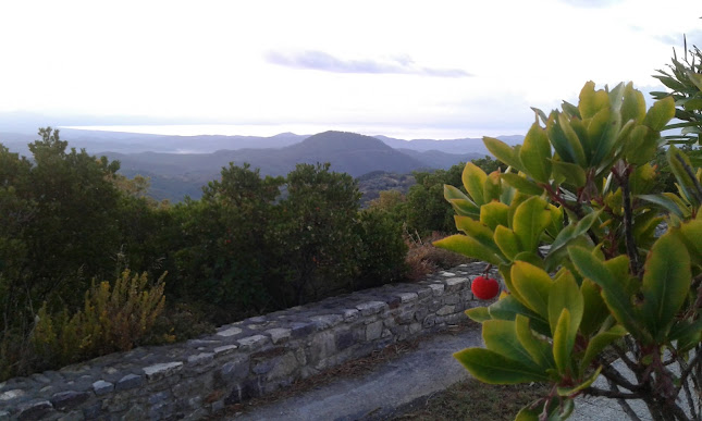 Βασιλική, Δήμος Φαρίδος 230 54