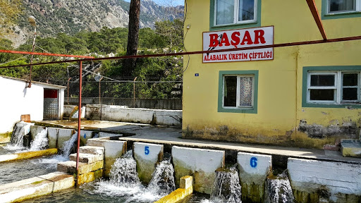 Başar Alabalık Üretim Çiftliği