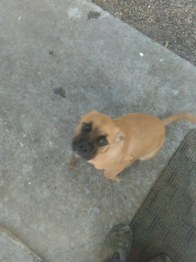 Park «Union Park», reviews and photos, 725 Thompson Ave, Des Moines, IA 50316, USA