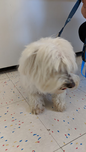 Pet Supply Store «Petco Animal Supplies», reviews and photos, 2005 Crow Canyon Pl, San Ramon, CA 94583, USA