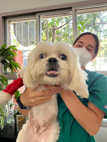Opinii despre Dr. Yaniv Einat's Veterinary Clinic în רמת רחל - וטרינר
