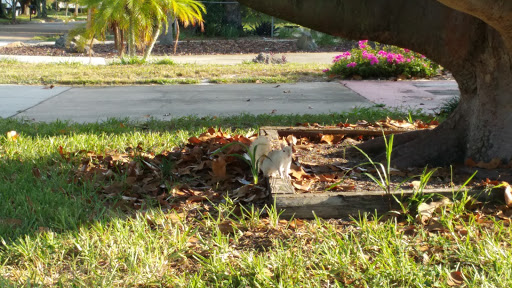  «ABC Fine Wine & Spirits», reviews and photos, 1239 S Washington Ave, Titusville, FL 32780, USA