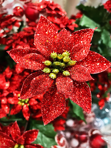 Craft Store «Michaels», reviews and photos, 25310 Marguerite Pkwy, Mission Viejo, CA 92692, USA