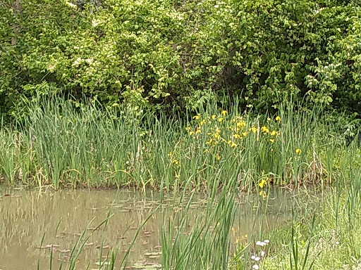 Tropical Fish Store «William Tricker Inc», reviews and photos, 7125 Tanglewood Dr, Cleveland, OH 44131, USA