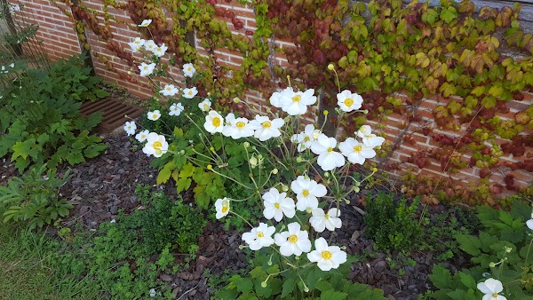 LA BUSTA CENTRO DE JARDINERIA, S.L.