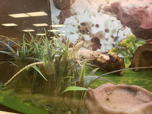 Pet Supply Store «PetSmart», reviews and photos, 2150 Paxton Ln SW, Lilburn, GA 30047, USA