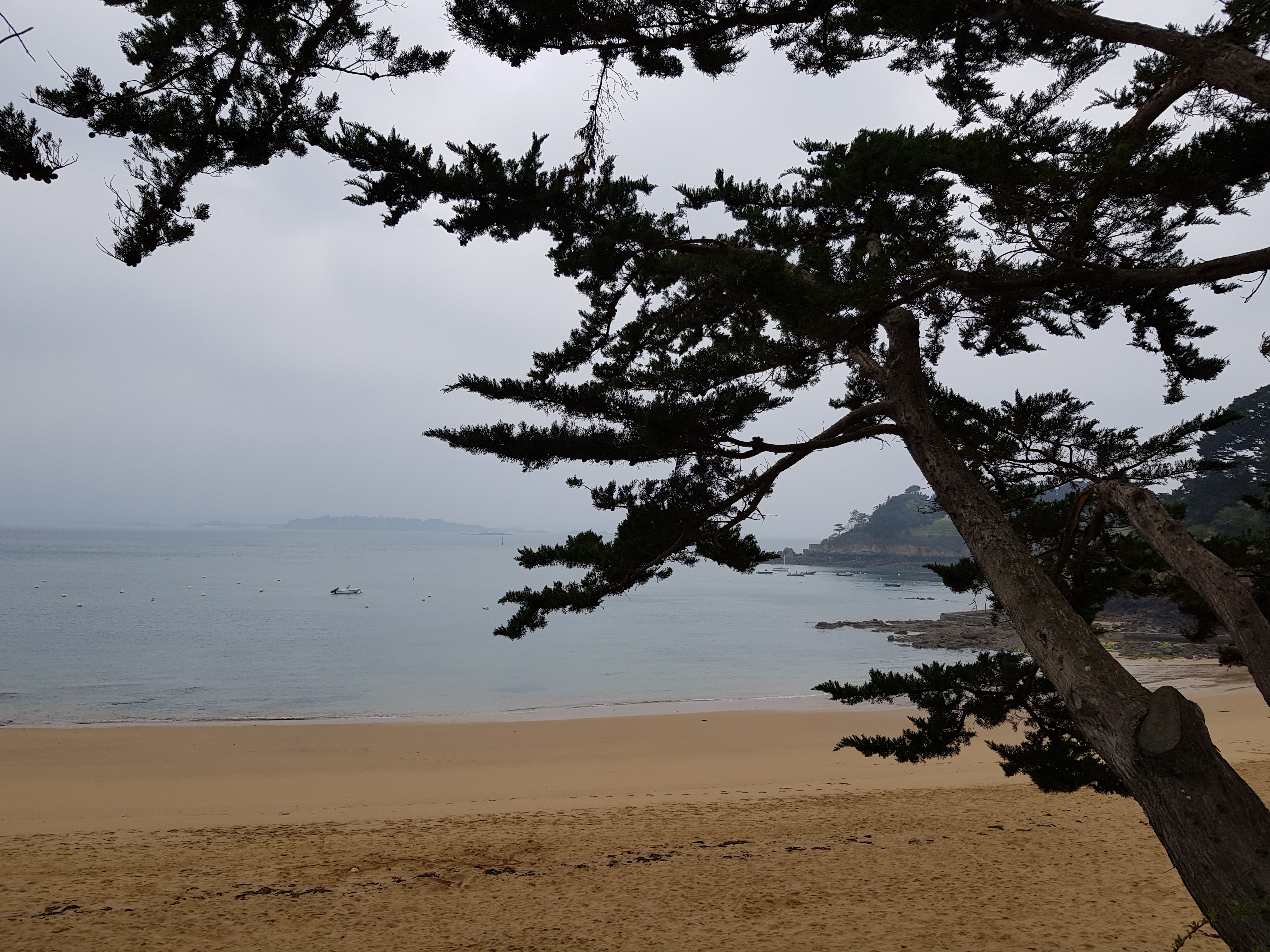 Photo n° 1 de l'avis de Severine.u fait le 23/04/2019 à 05:46