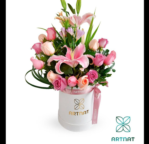 Artnat Floreria