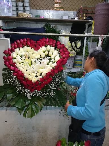 FLORERIA BRENDA – Cholula