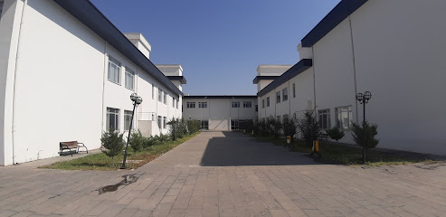 Siirt Üniversitesi İlahiyat Fakültesi