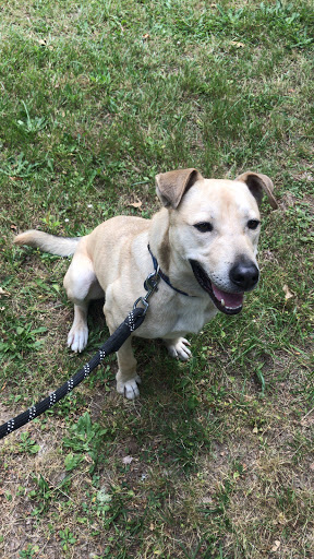 Non-Profit Organization «Heartland Humane Society», reviews and photos, 398 SW Twin Oaks Cir, Corvallis, OR 97333, USA