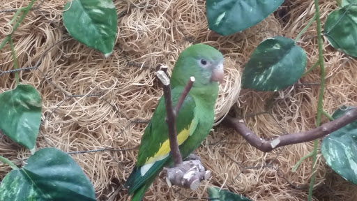 Pet Store «Plattsmouth Pets», reviews and photos, 430 Main St, Plattsmouth, NE 68048, USA