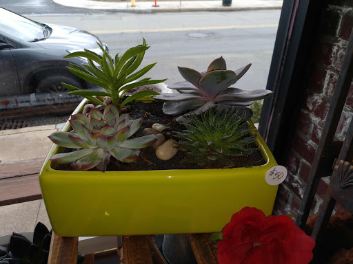 Florist «Lollipops & Roses Florist», reviews and photos, 450 Salem St, Medford, MA 02155, USA