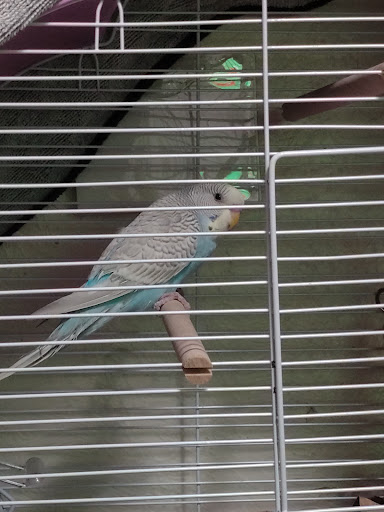 Pet Store «Animal Ark», reviews and photos, 175 S 500 E St, American Fork, UT 84003, USA